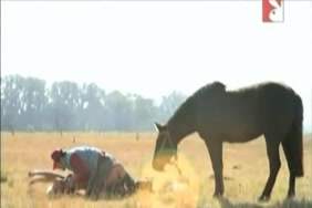 Sex fait avec cheval hd